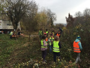 Umwelteinsatz Primarschule - Weiheranlage Hard 2015 (© NVVB)