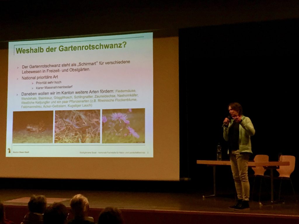 Gartenrotschwanz Vortrag, 19. März 2019 (© NVVB)