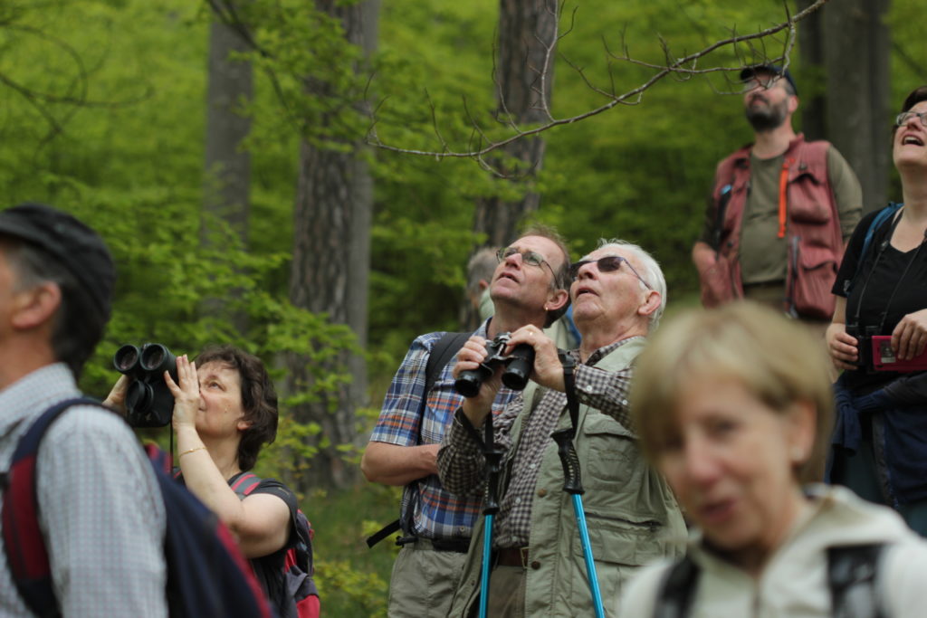 Tagesexkursion Ankenballen - 18. Mai 2019 (© NVVB)