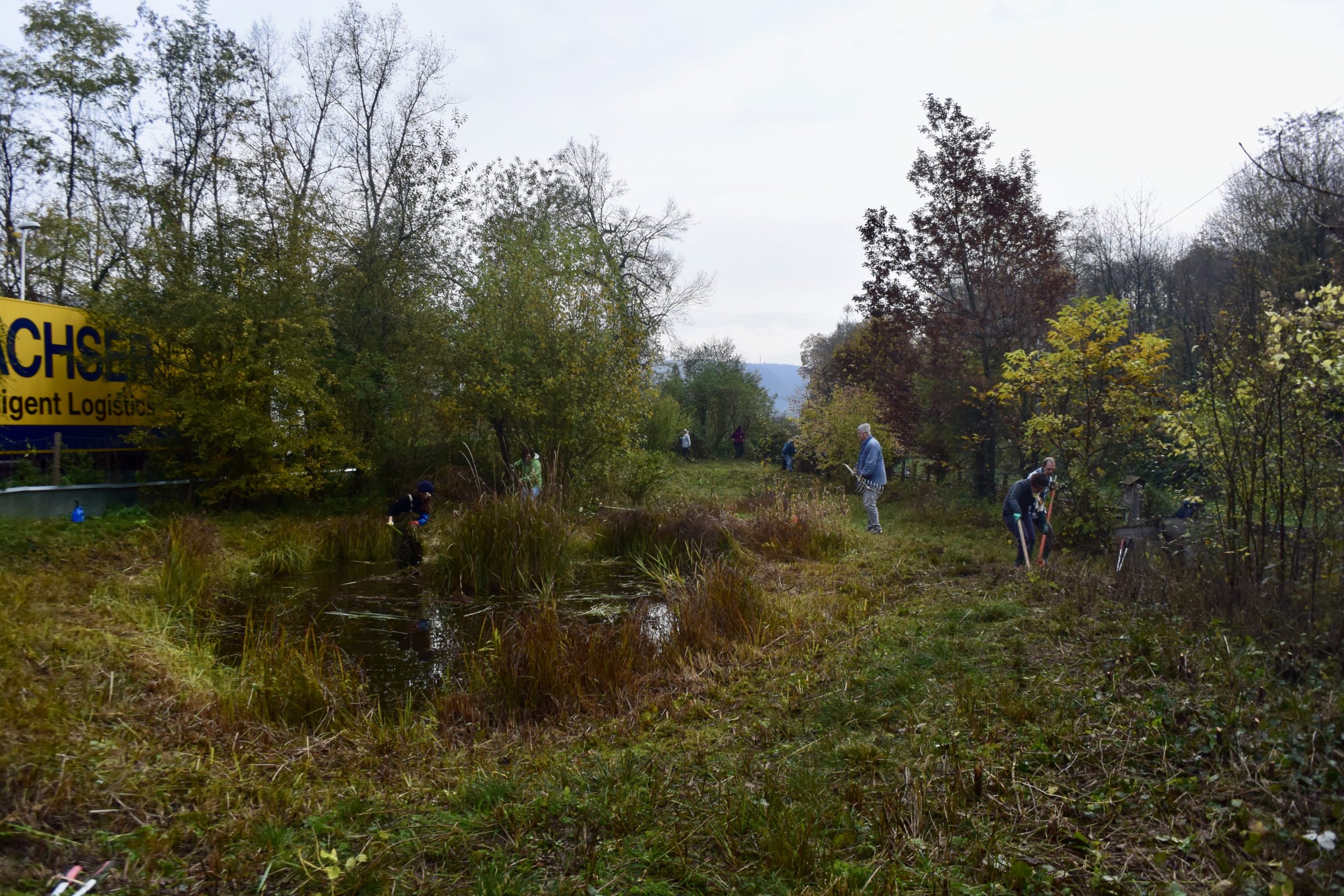 Pfleigeeinsatz - Weiheranlage Hard, 16. Nov. 2019 (© NVVB)