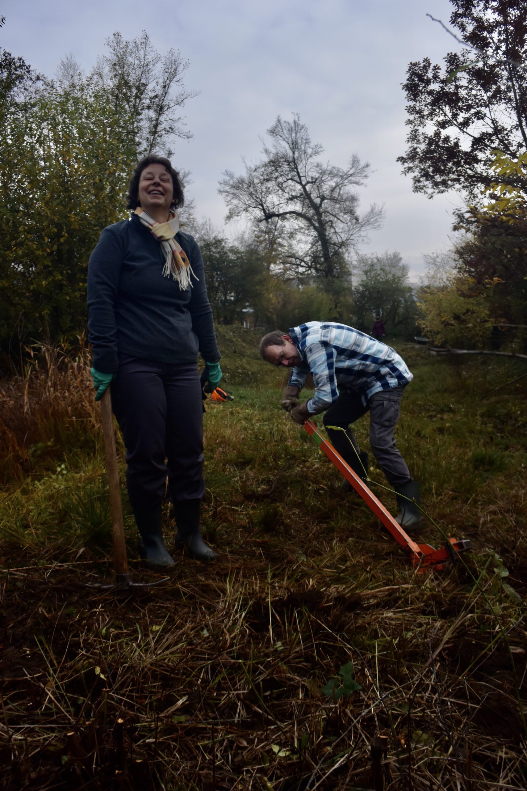 Pfleigeeinsatz - Weiheranlage Hard, 16. Nov. 2019 (© NVVB)