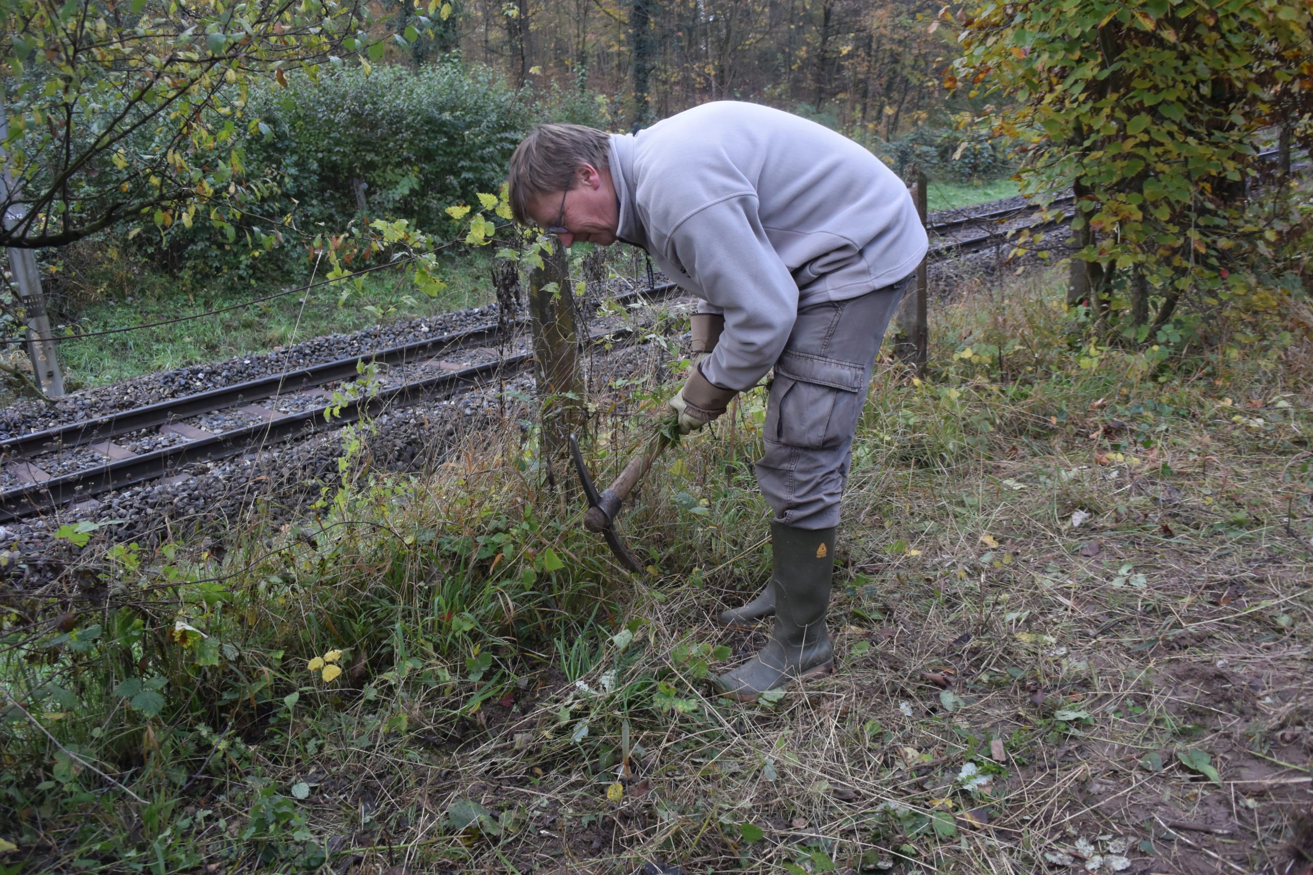 Pfleigeeinsatz - Weiheranlage Hard, 16. Nov. 2019 (© NVVB)