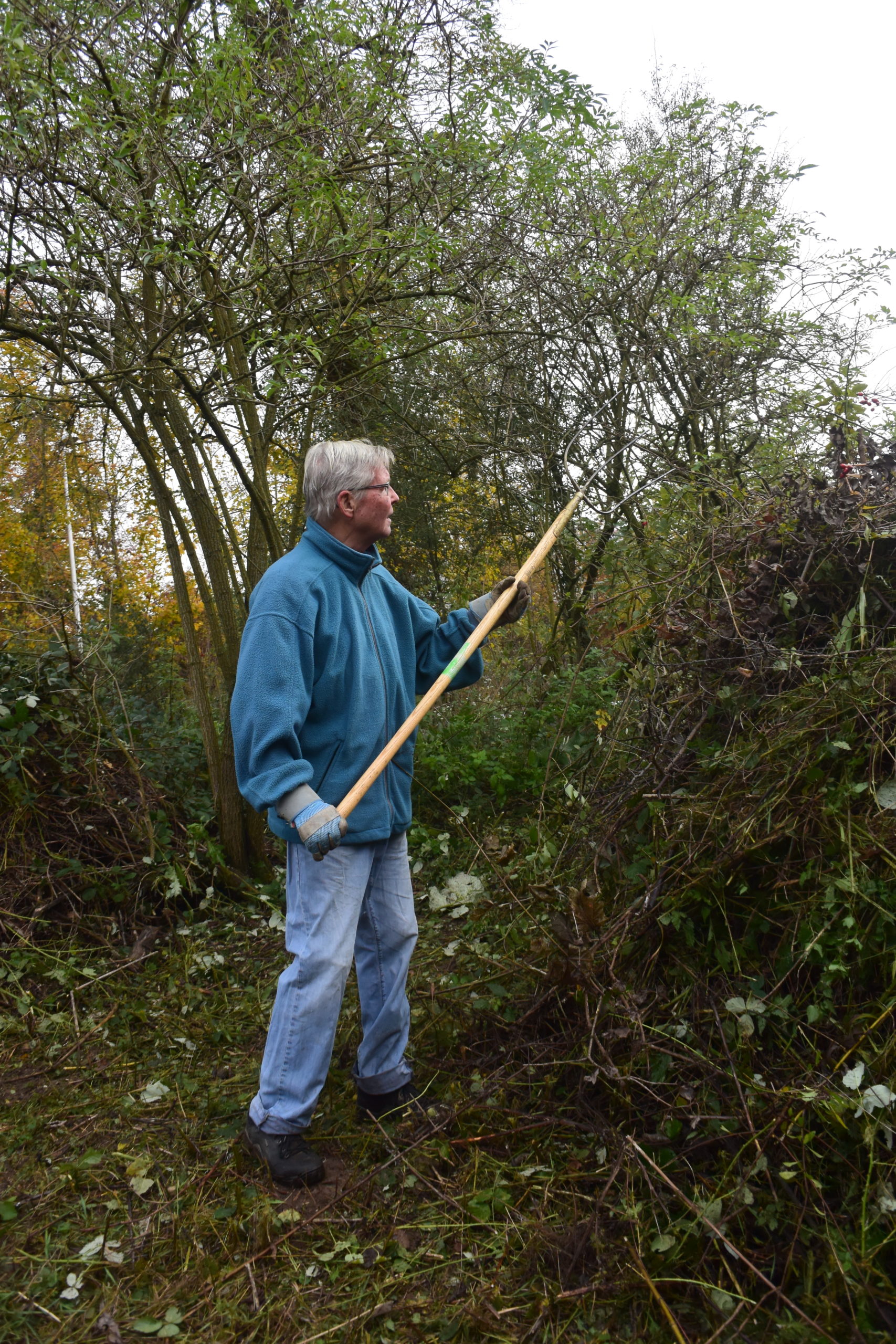 Pfleigeeinsatz - Weiheranlage Hard, 16. Nov. 2019 (© NVVB)