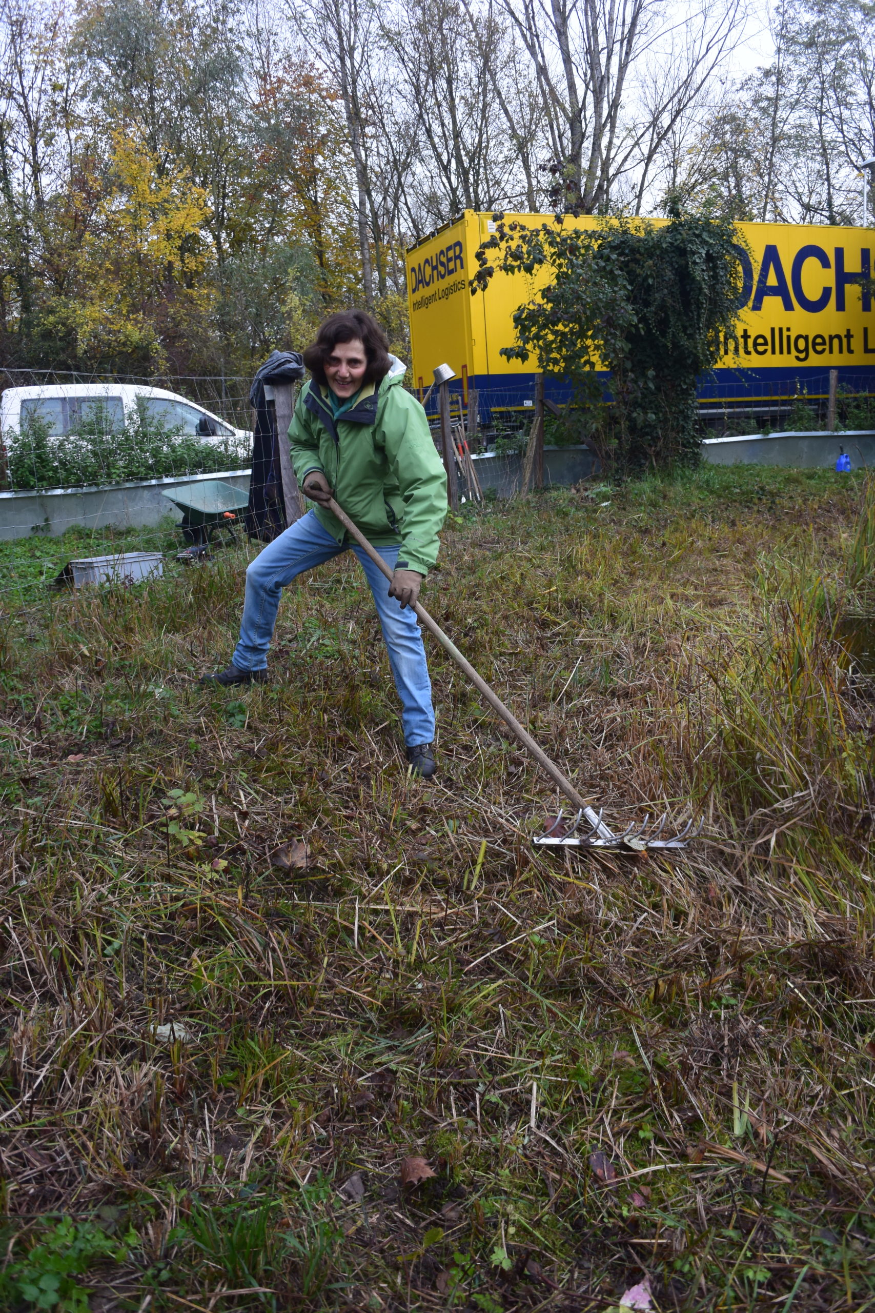 Pfleigeeinsatz - Weiheranlage Hard, 16. Nov. 2019 (© NVVB)