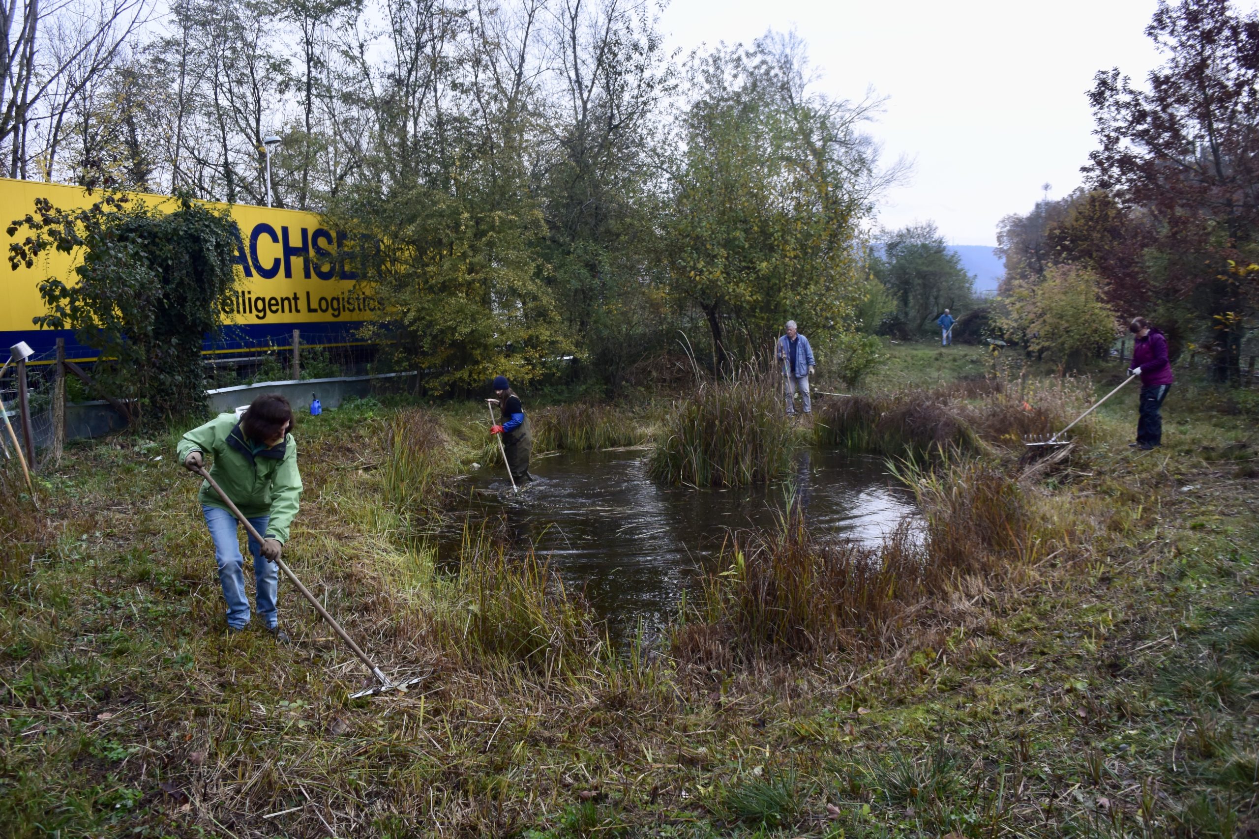 Pfleigeeinsatz - Weiheranlage Hard, 16. Nov. 2019 (© NVVB)