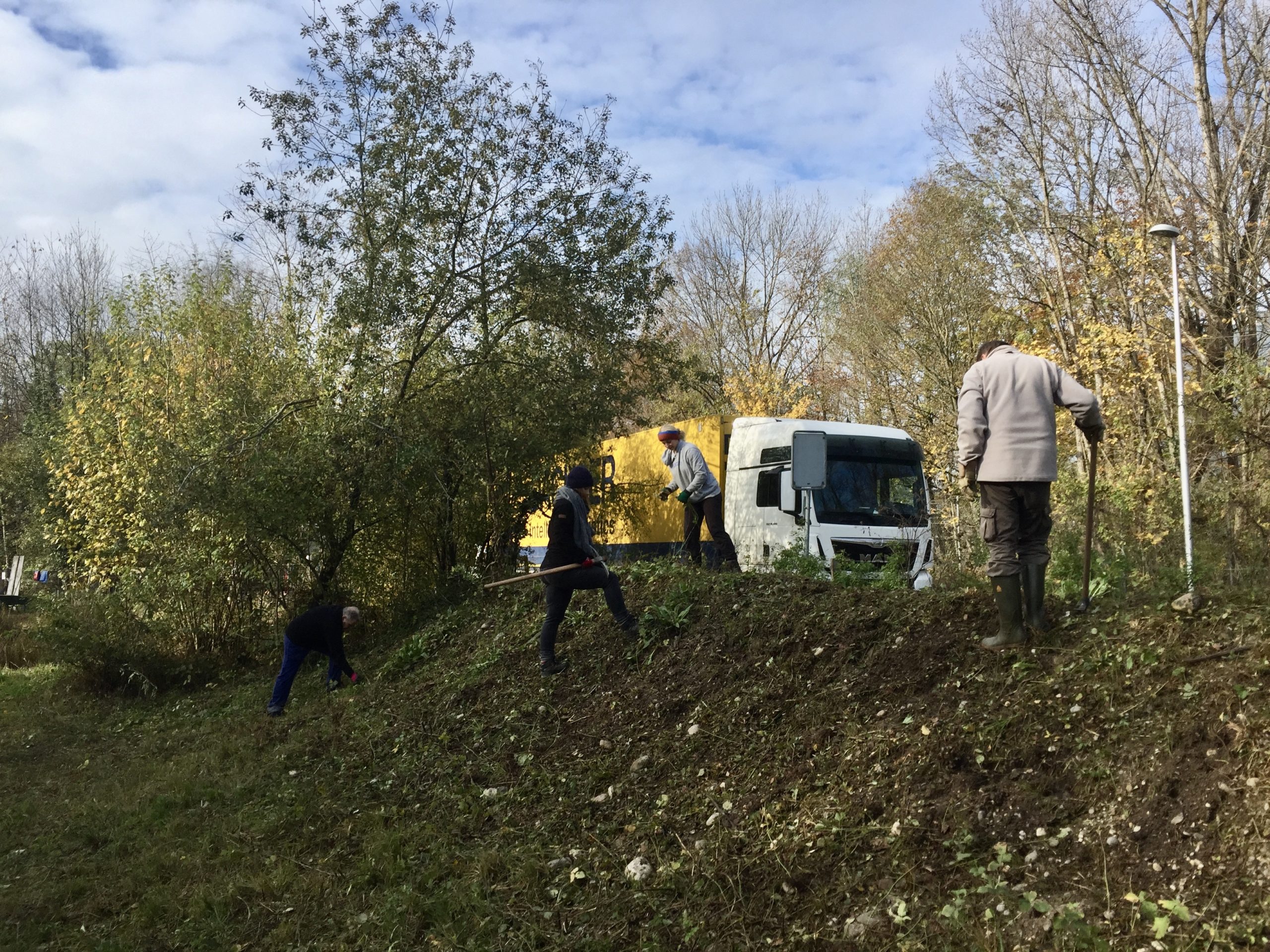 Pfleigeeinsatz - Weiheranlage Hard, 16. Nov. 2019 (© NVVB)