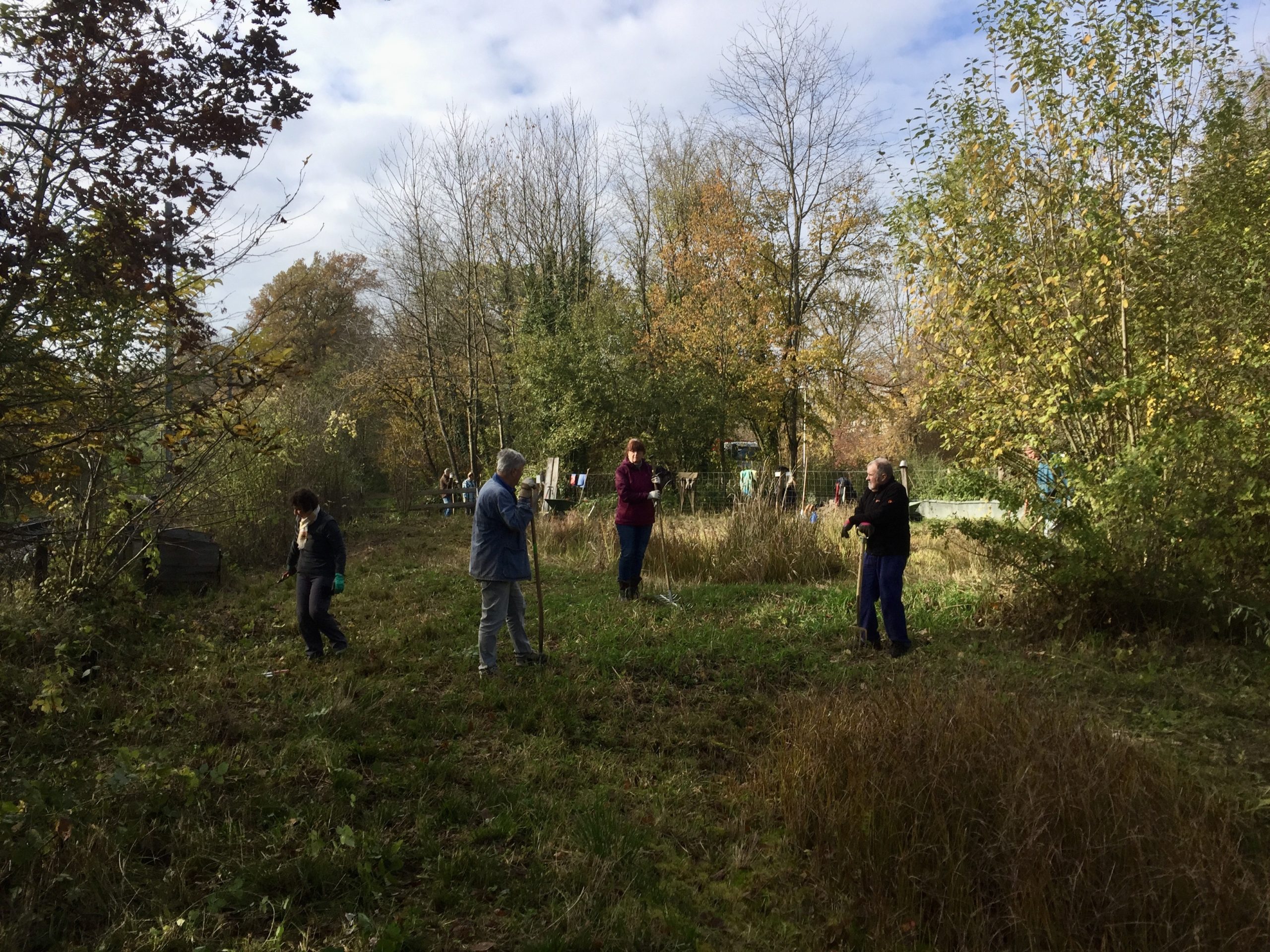 Pfleigeeinsatz - Weiheranlage Hard, 16. Nov. 2019 (© NVVB)