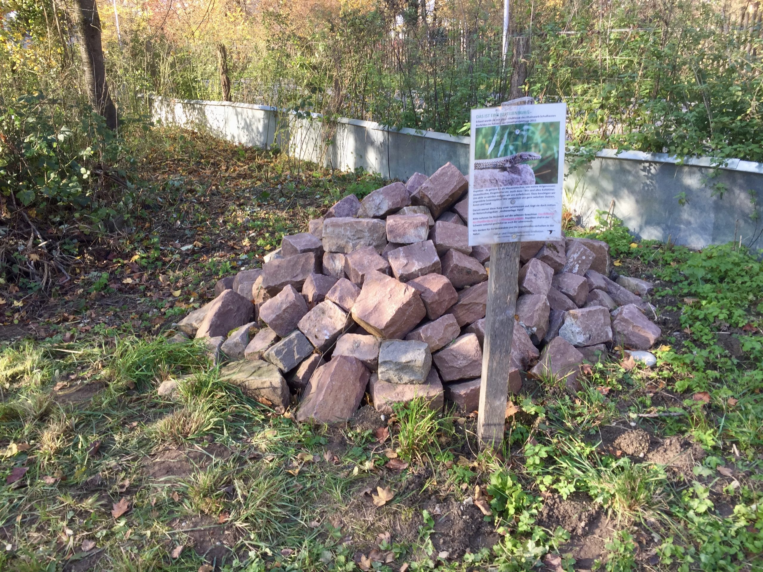 Pfleigeeinsatz - Weiheranlage Hard, 16. Nov. 2019 (© NVVB)