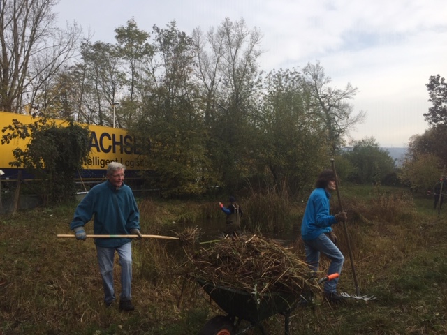 Pfleigeeinsatz - Weiheranlage Hard, 16. Nov. 2019 (© NVVB)