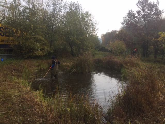 Pfleigeeinsatz - Weiheranlage Hard, 16. Nov. 2019 (© NVVB)