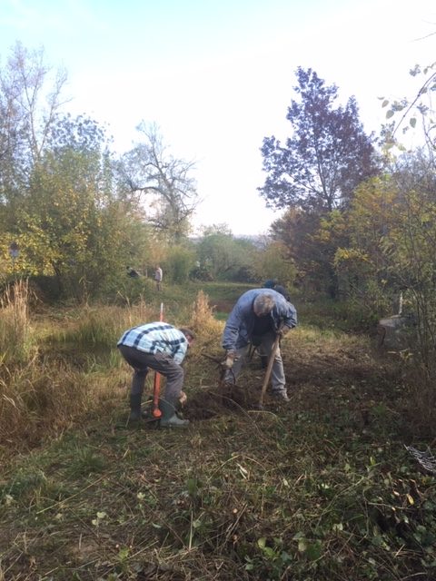 Pfleigeeinsatz - Weiheranlage Hard, 16. Nov. 2019 (© NVVB)