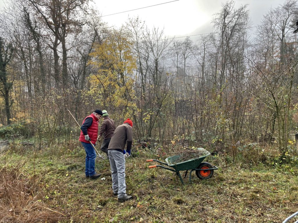 Pfleigeeinsatz - Weiheranlage Hard, 21. Nov. 2020 (© NVVB)