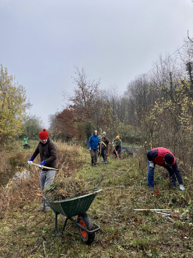 Pfleigeeinsatz - Weiheranlage Hard, 21. Nov. 2020 (© NVVB)