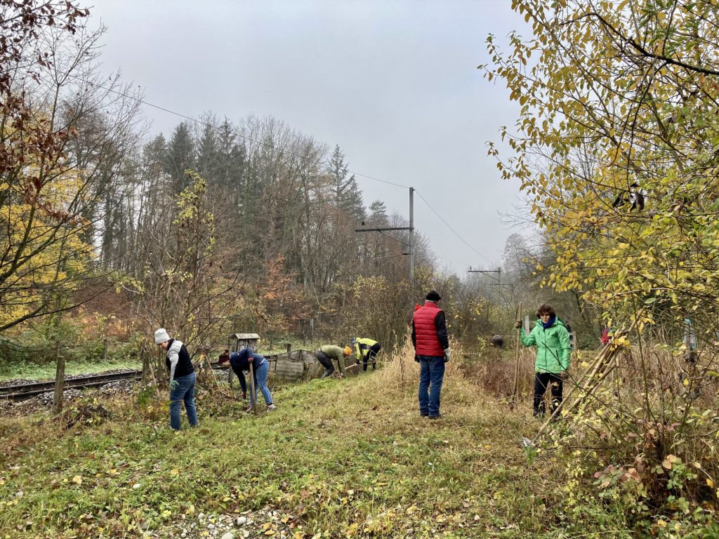 Pfleigeeinsatz - Weiheranlage Hard, 21. Nov. 2020 (© NVVB)