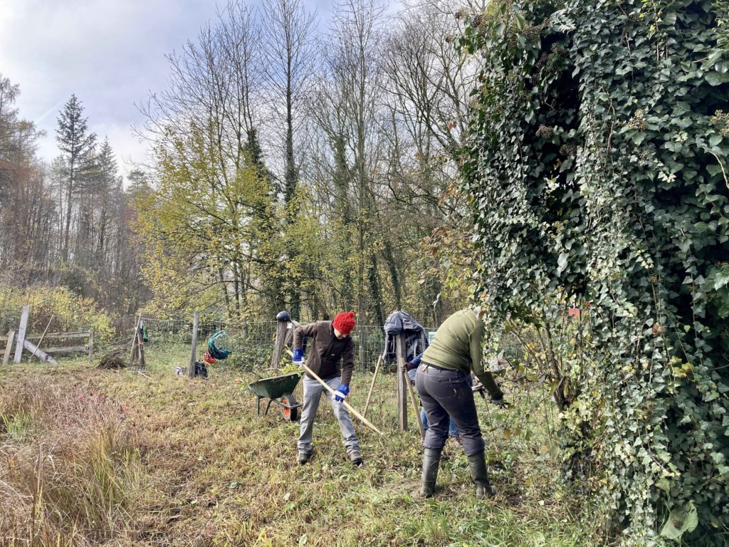 Pfleigeeinsatz - Weiheranlage Hard, 21. Nov. 2020 (© NVVB)