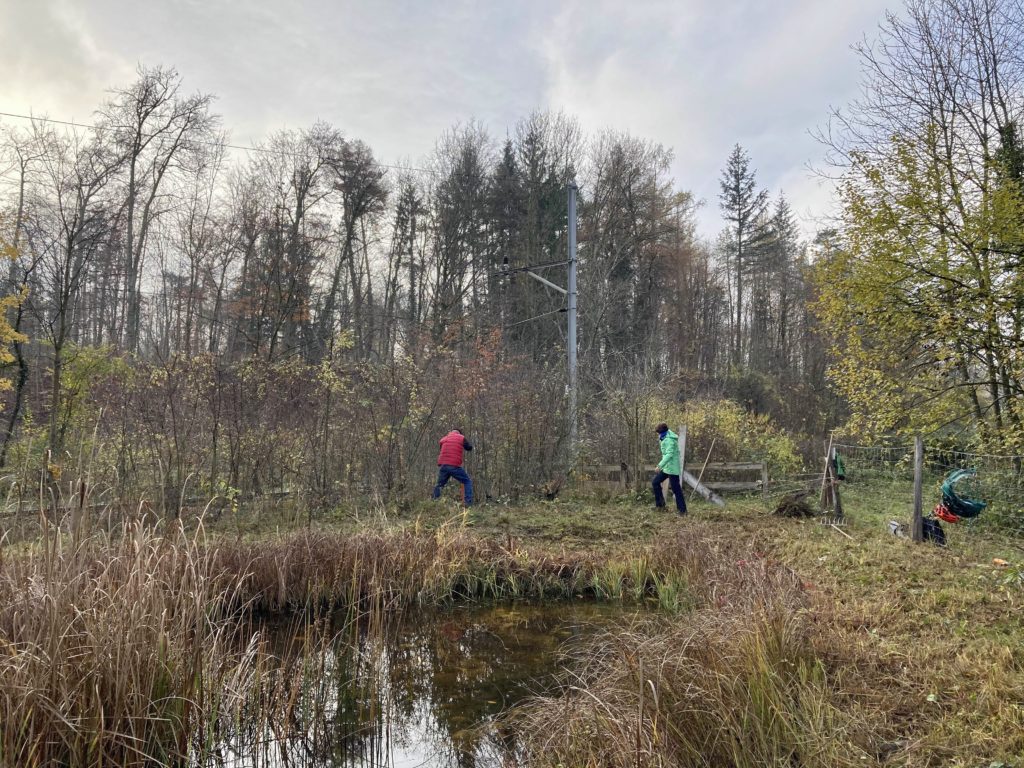 Pfleigeeinsatz - Weiheranlage Hard, 21. Nov. 2020 (© NVVB)