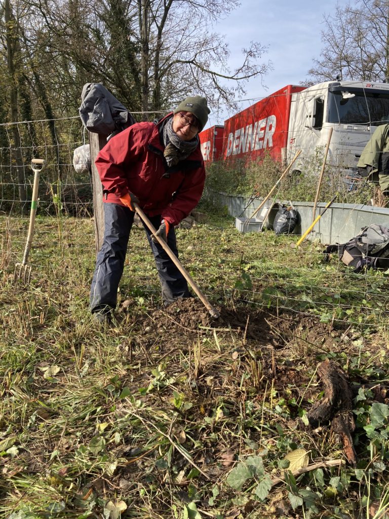 Pfleigeeinsatz - Weiheranlage Hard, 21. Nov. 2020 (© NVVB)