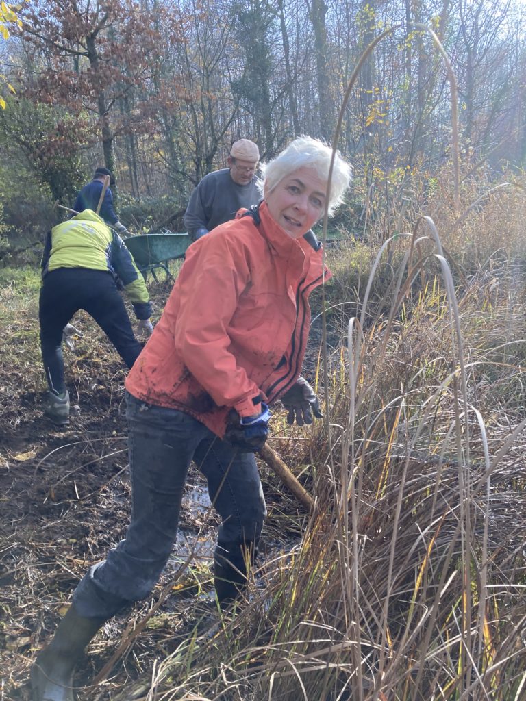 Pfleigeeinsatz - Weiheranlage Hard, 21. Nov. 2020 (© NVVB)