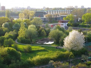 Frühling im Biotop (©J.Roth)