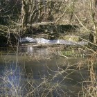 Weiher Staatsgrube (©NVVB)