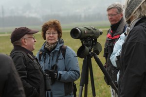 Exkursion Aesch - Reinach 23.3.2013 (©NVVB)