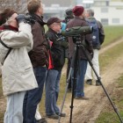 Exkursion Aesch - Reinach 23.3.2013 (©NVVB)