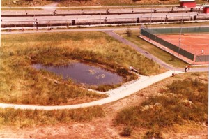 Biotop am Stausee Anfang1983 (©NVVB)