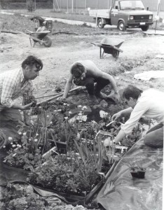 Anpflanzung am Teich - Biotop am Stausee Anfang1983 (©NVVB)