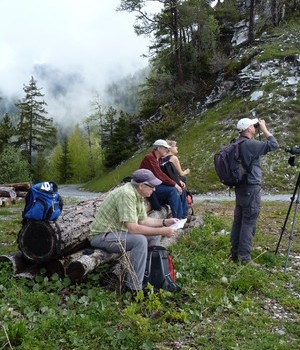 Exkursionsbericht: Ornithologisches Wochenende in die Walliser Felsensteppe 1./2. Juni 2013