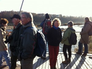 Exkursionsteilnehmer auf Plattform - Umgehungsgewässer Rheinfelden (© NVVB)