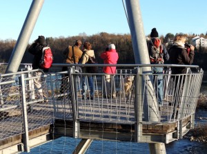 ExkursionsteilnehmerInnen auf der Plattform - Umgehungsgewässer Rheinfelden (© Peter Ertl)