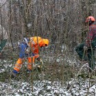 Heckeneinsatz Biotop - Feb. 2013 (© solidago gmbh)