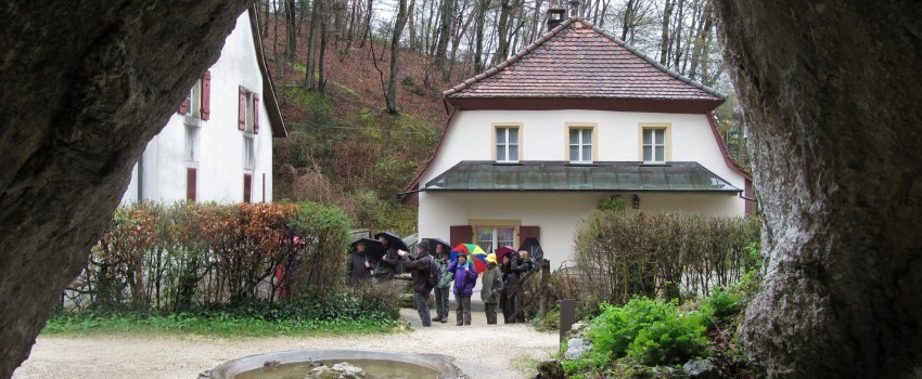 Fotos Exkursion – Frühblüher im Landschaftsgarten Ermitage Arlesheim 22. März 2014