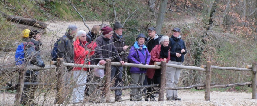 Exkursionsbericht: Frühblüher im Landschaftsgarten Arlesheim, Samstag 22. März 2014