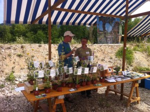 Infostand mit den alternativen Wildpflanzen - Birsuferweg-Fest (© NVVB)