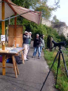 Zugvogeltag 2014 (© Bethli Stöckli)