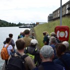 Wertvolle Hafenböschung - Exkursion: Birsfelder Hafen und Auhafen, 30. Mai 2015 (© NVVB)