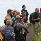 Erklärungen zur Bienen-Ragwurz - Exkursion: Birsfelder Hafen und Auhafen, 30. Mai 2015 (© NVVB)