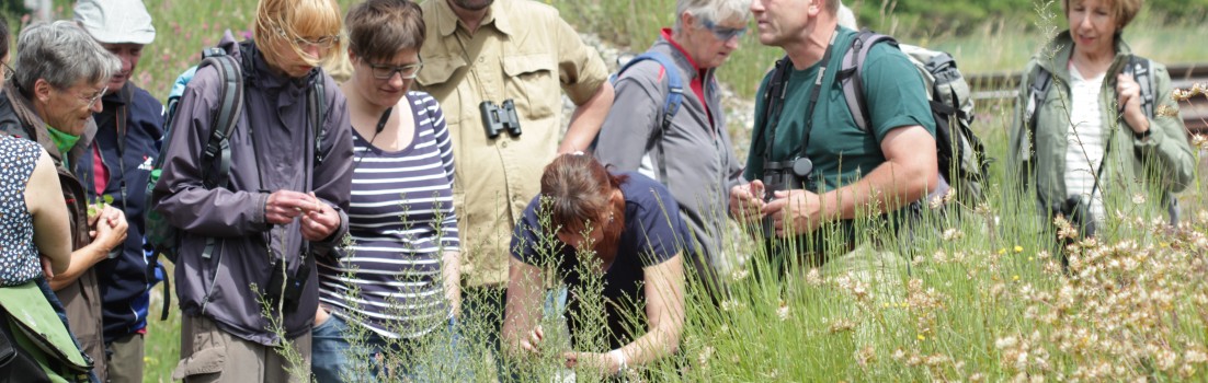 Exkursionbericht: Birsfelder Hafen und Auhafen, 30. Mai 2015