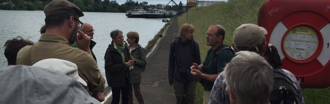 Exkursion: Birsfelder Hafen und Auhafen, 30. Mai 2015 (© NVVB)