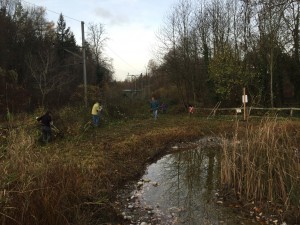 Pfleigeeinsatz - Weiheranlage Hard 2015 (© NVVB)