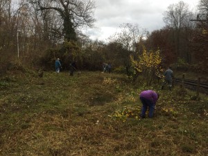 Pfleigeeinsatz - Weiheranlage Hard 2015 (© NVVB)