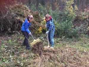 Pfleigeeinsatz - Weiheranlage Hard 2015 (© NVVB)