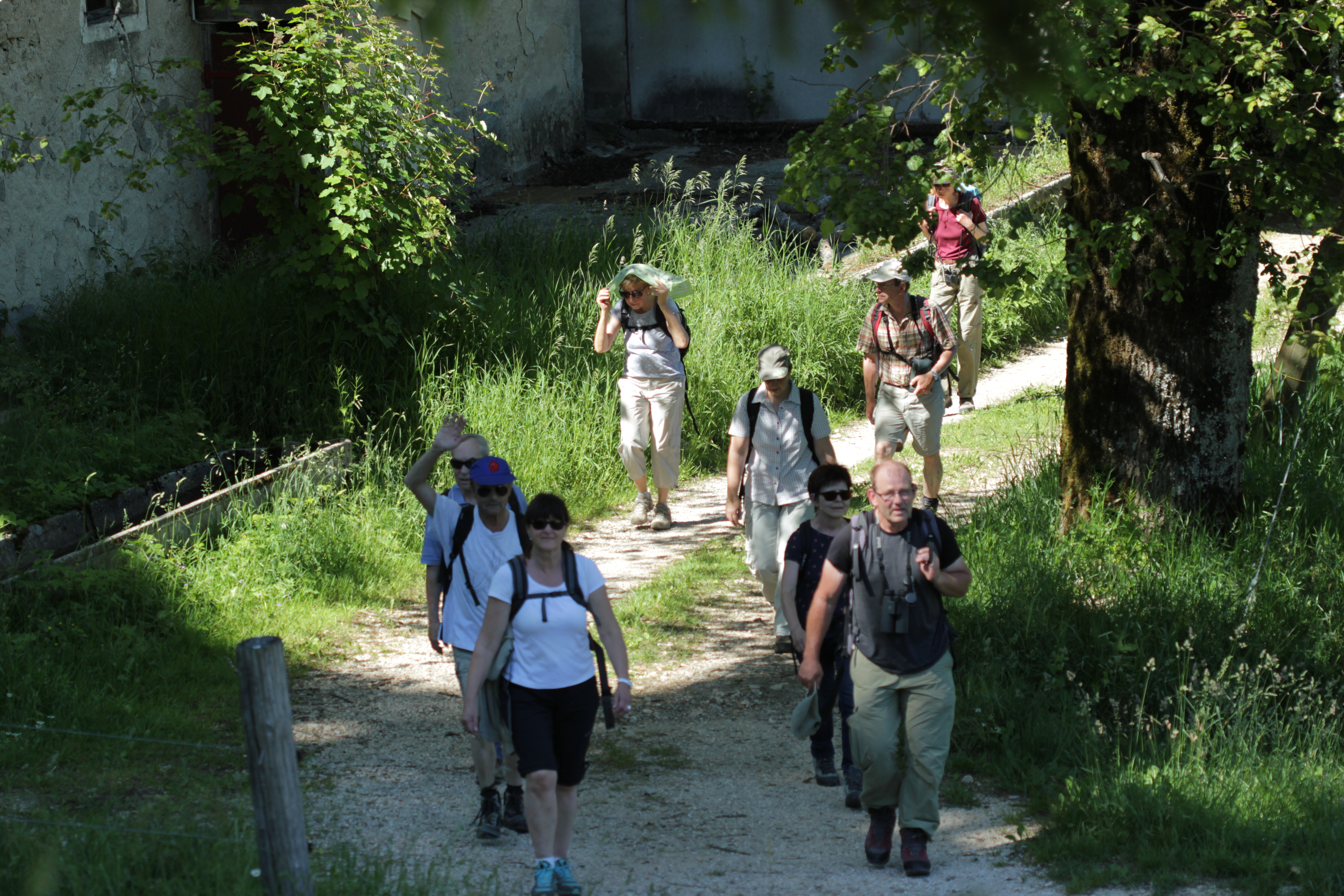 Bericht Tagesexkursion: Weissenstein, Sonntag 11. Juni 2017