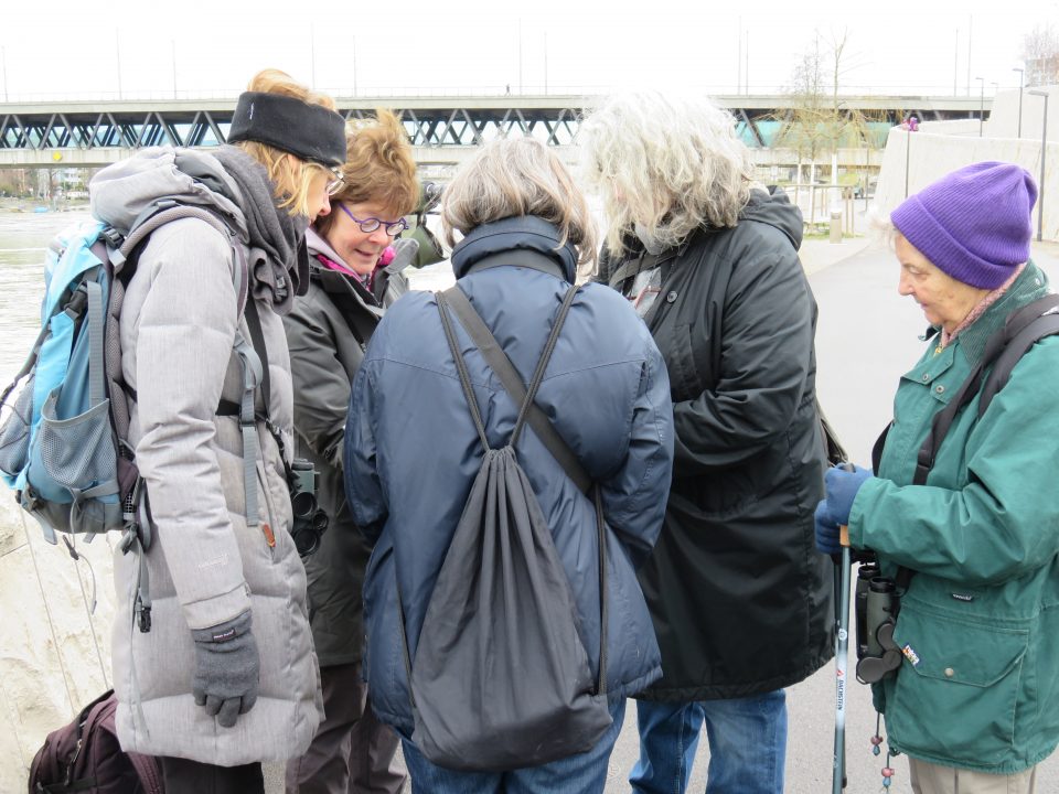 Exkursion: Dreiländerweg Basel – Huningue – Weil am Rhein, 20.1.2018