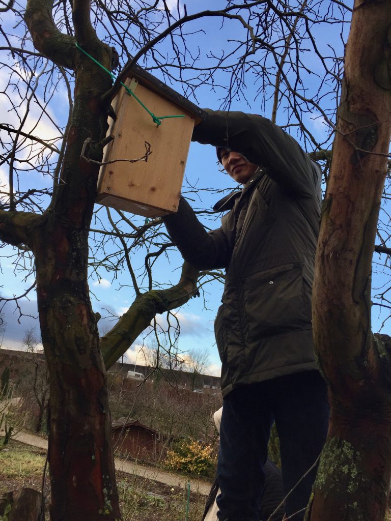 Gartenrotschwanzprojekt - Hagnau Birsfelden Jan. 2018 (© NVVB)