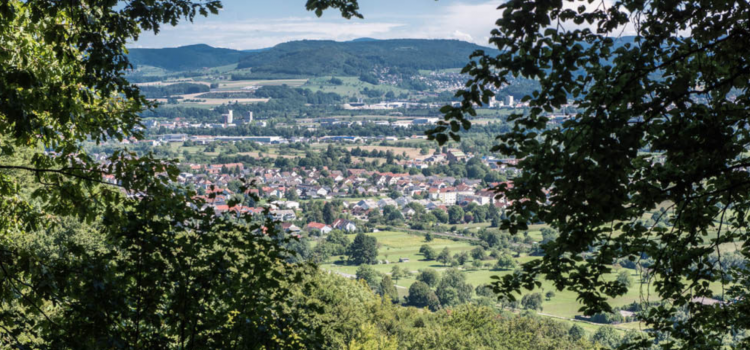 Nachmittagsexkursion zum Grenzach Hörnli – Buchswald – Rustelgraben – St.Chrischona