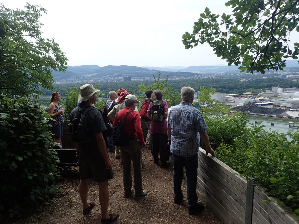 Exkursion: Grenzach Hörnli – Buchswald – Rustelgraben – St.Chrischona,26.05.2018