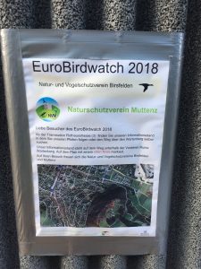 Internationale Zugvogeltag 2018 (© NVVB)