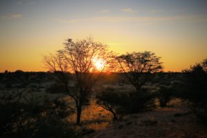 Namibia, Mai 2018 (© Felix NIederberger)